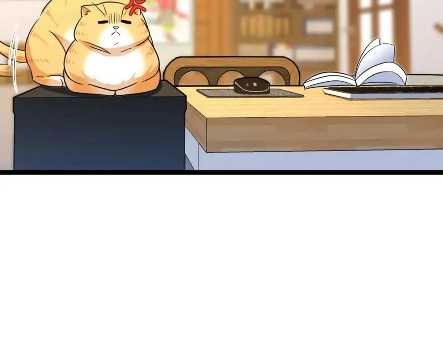 241 第91页