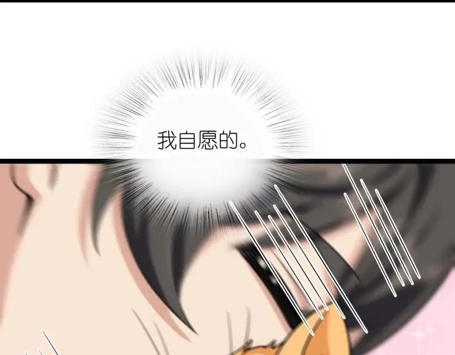 241 第119页