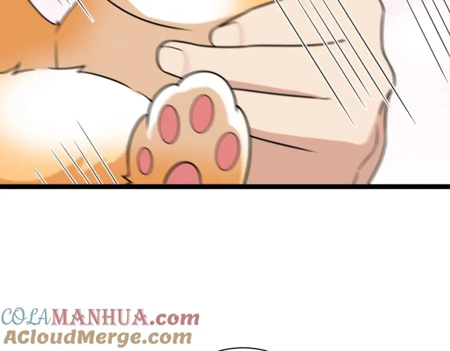 241 第121页
