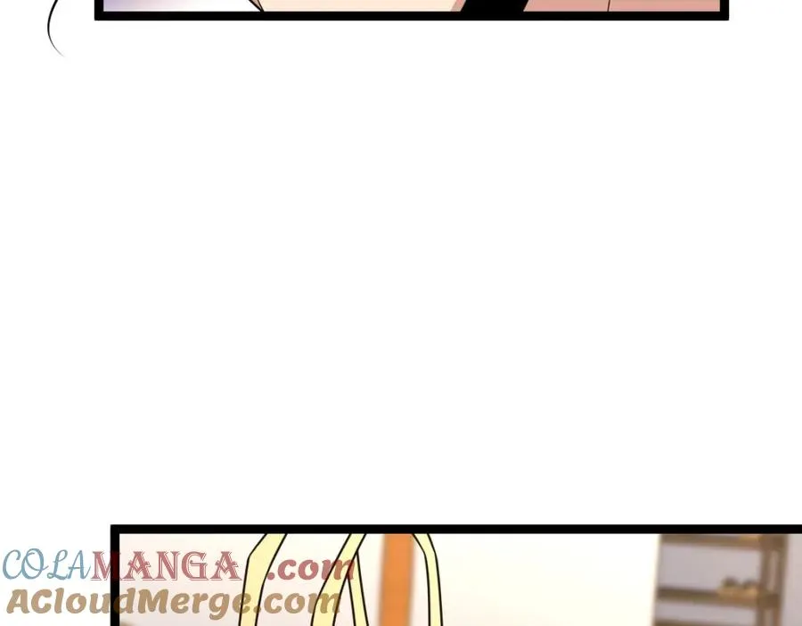 243 第13页