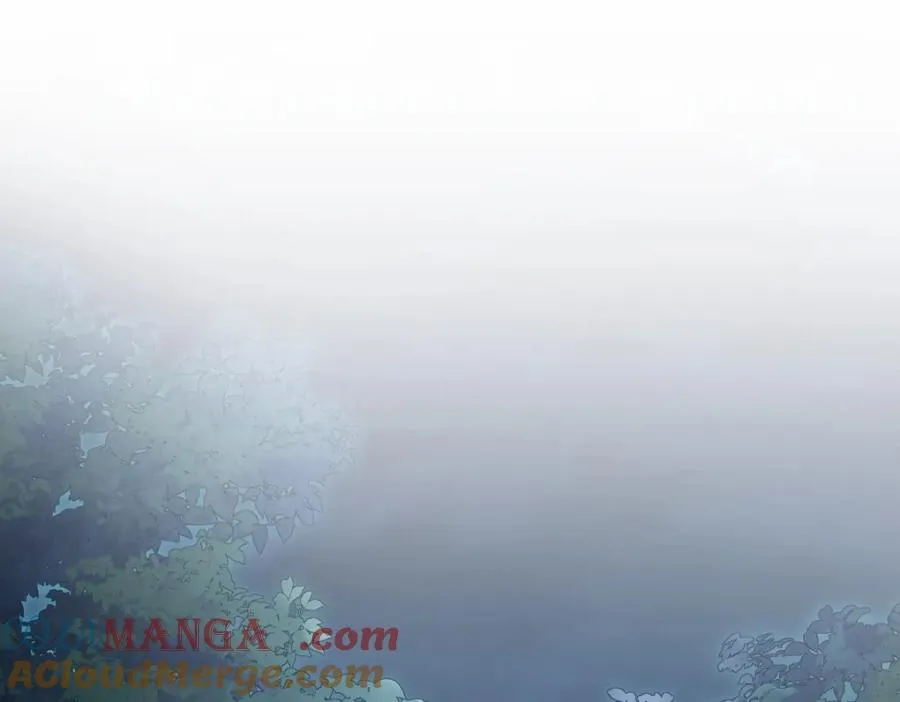 243 第45页
