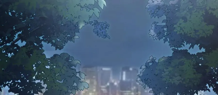 243 第46页