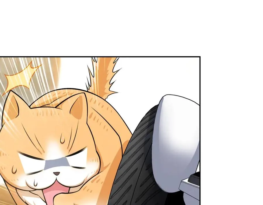 244 第51页