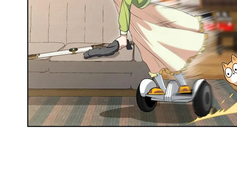 244 第54页