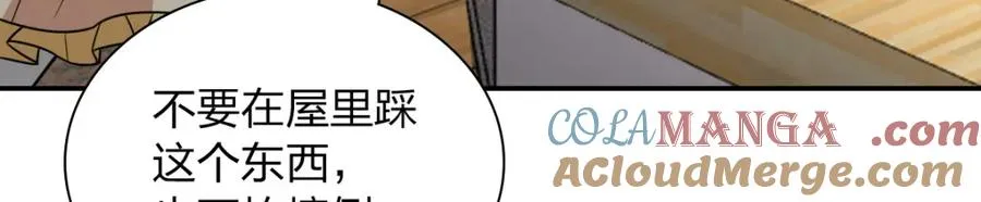 244 第61页