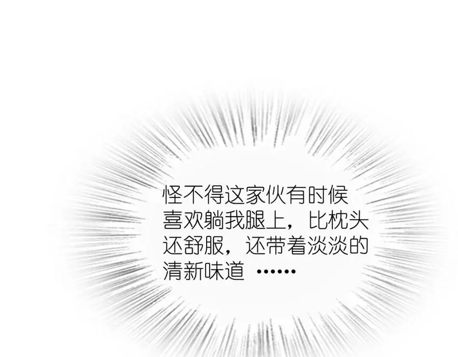 244 第111页