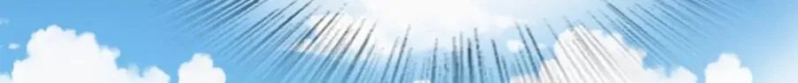 245 第11页