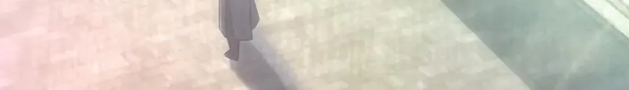 245 第95页