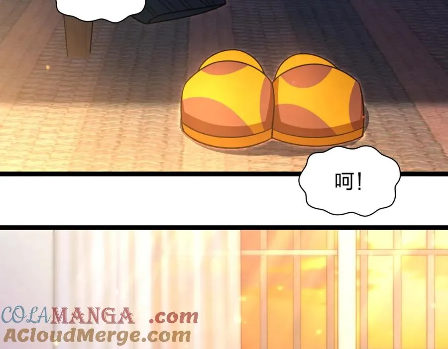 245 第117页