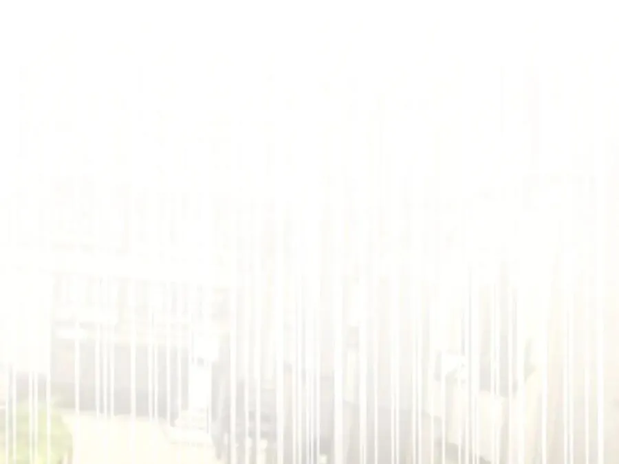 246 第54页