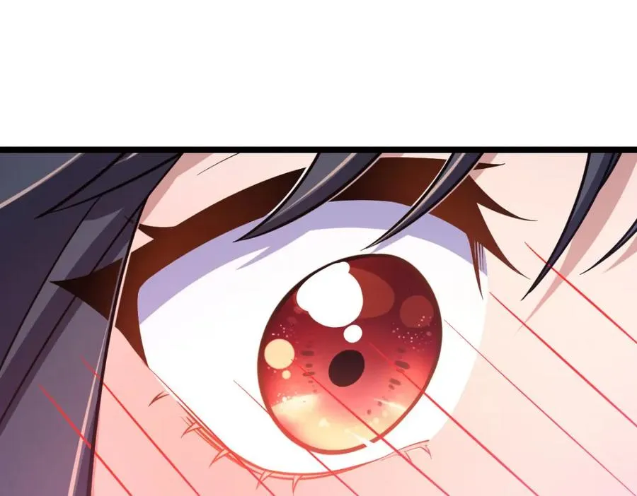246 第116页