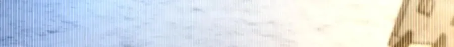 247 第53页