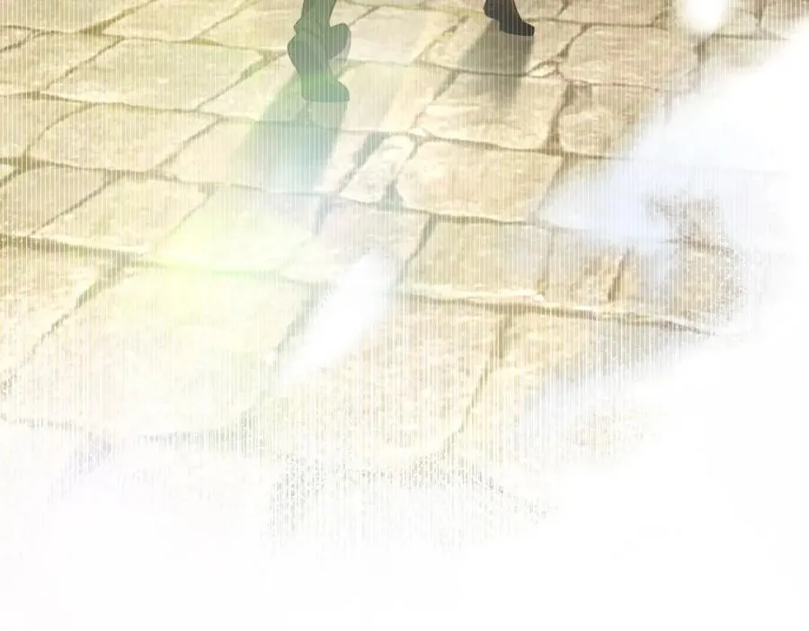 247 第55页