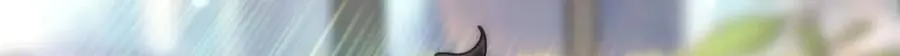 249 第161页