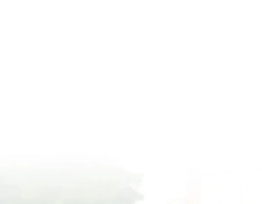 250 第3页