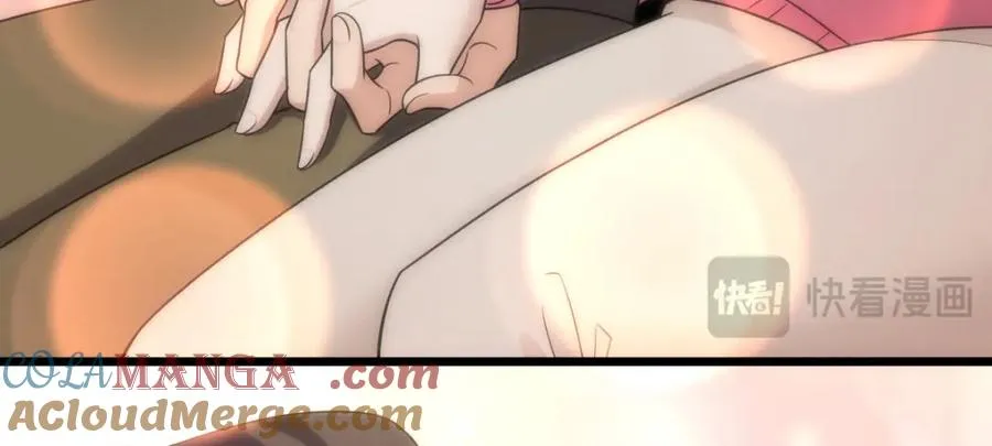 252 第81页