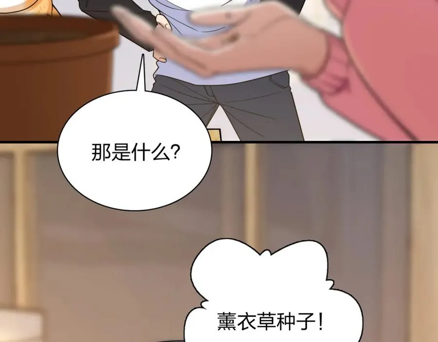 252 第164页