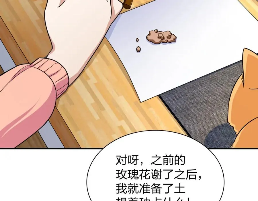 252 第172页