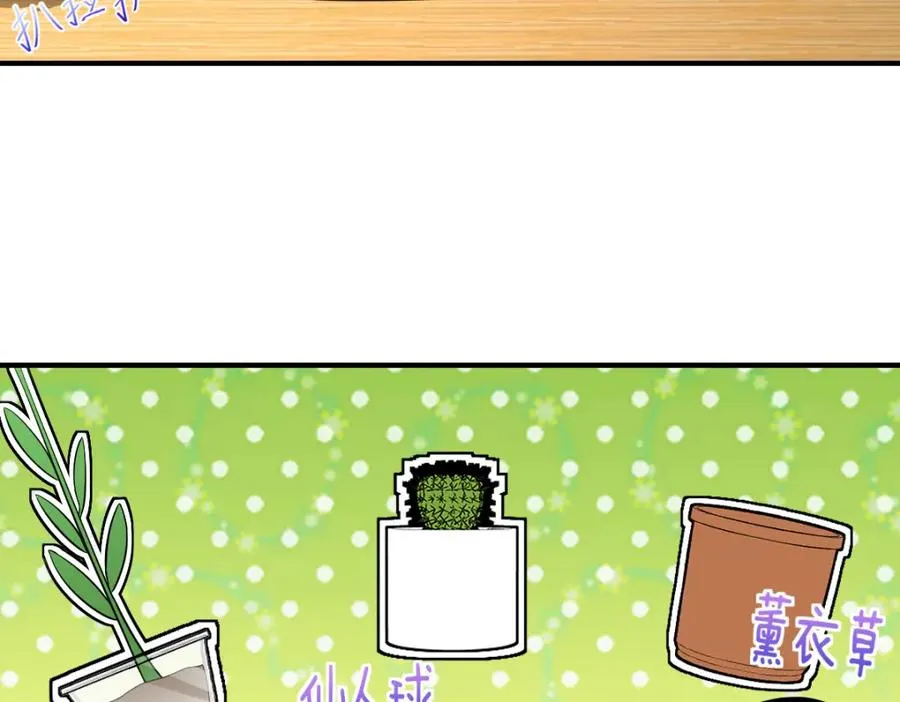 252 第178页
