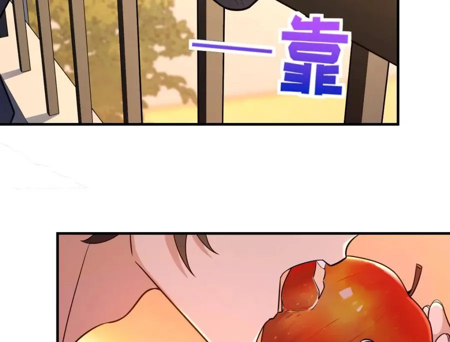254 第48页