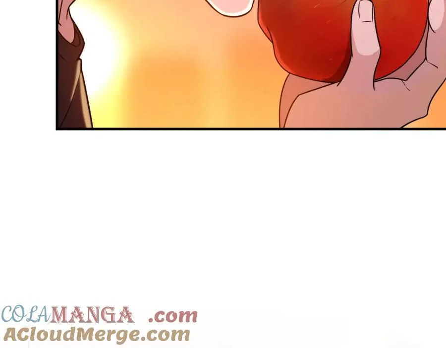 254 第49页