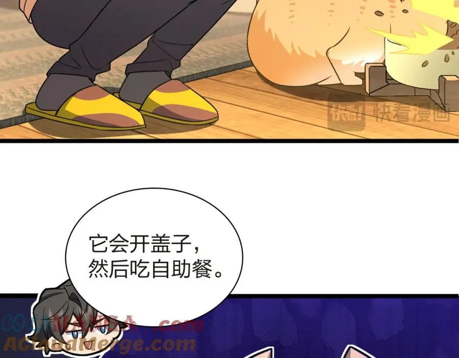 255 第41页
