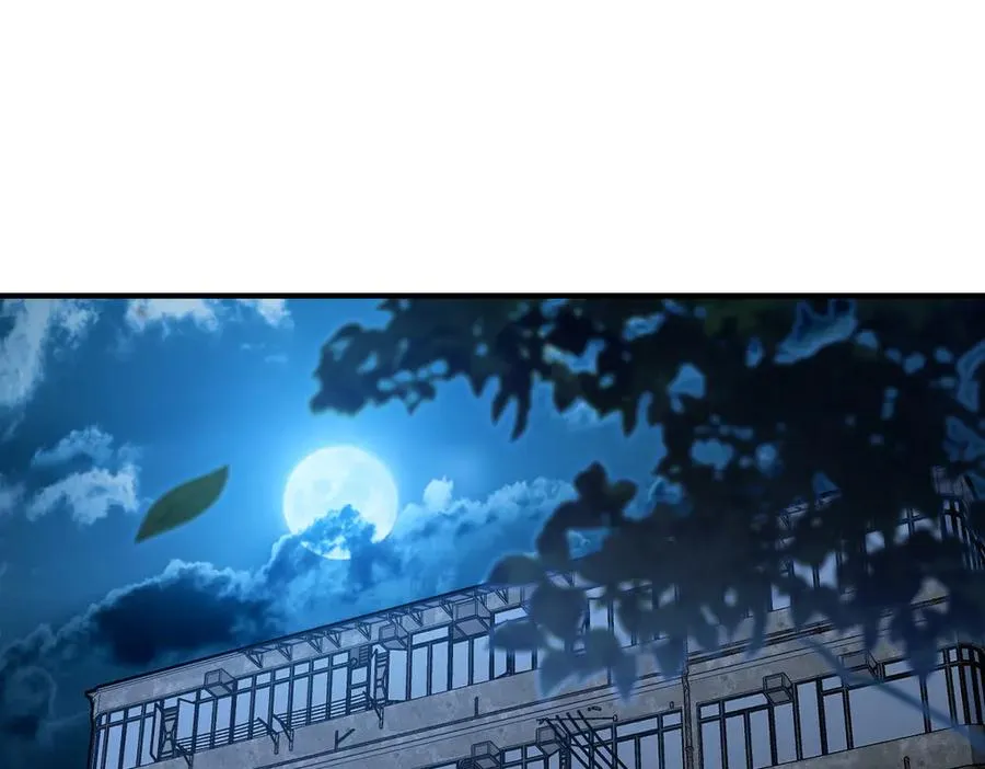 256 第3页
