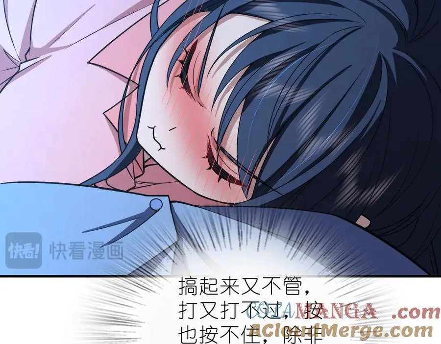 256 第49页