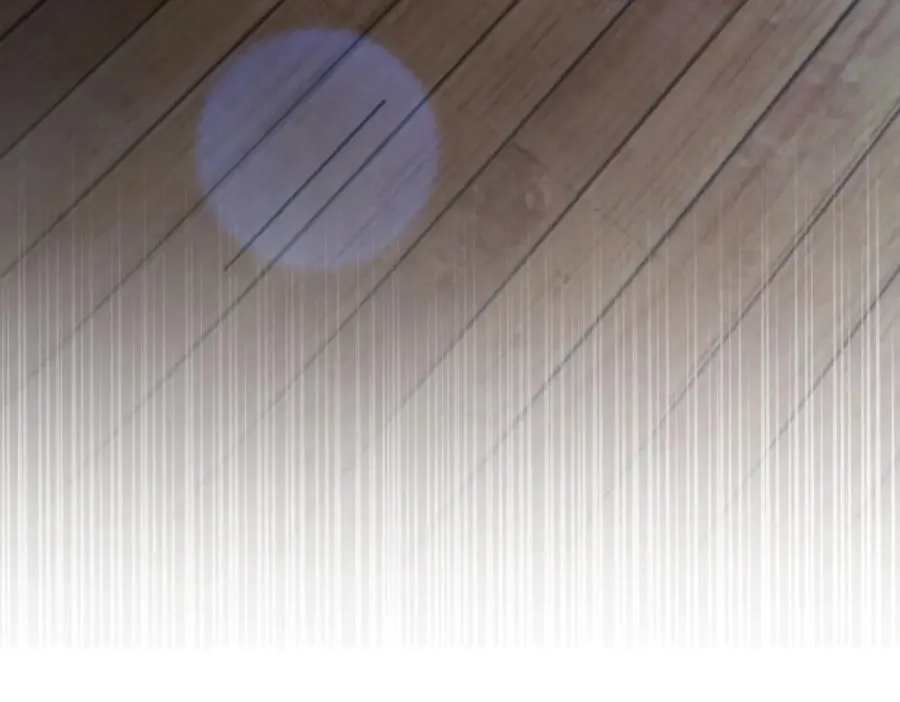 256 第71页
