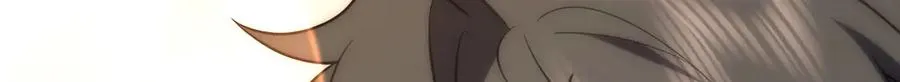 260 第115页