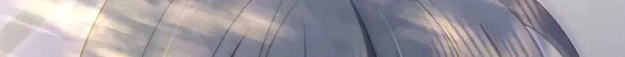 262 第17页
