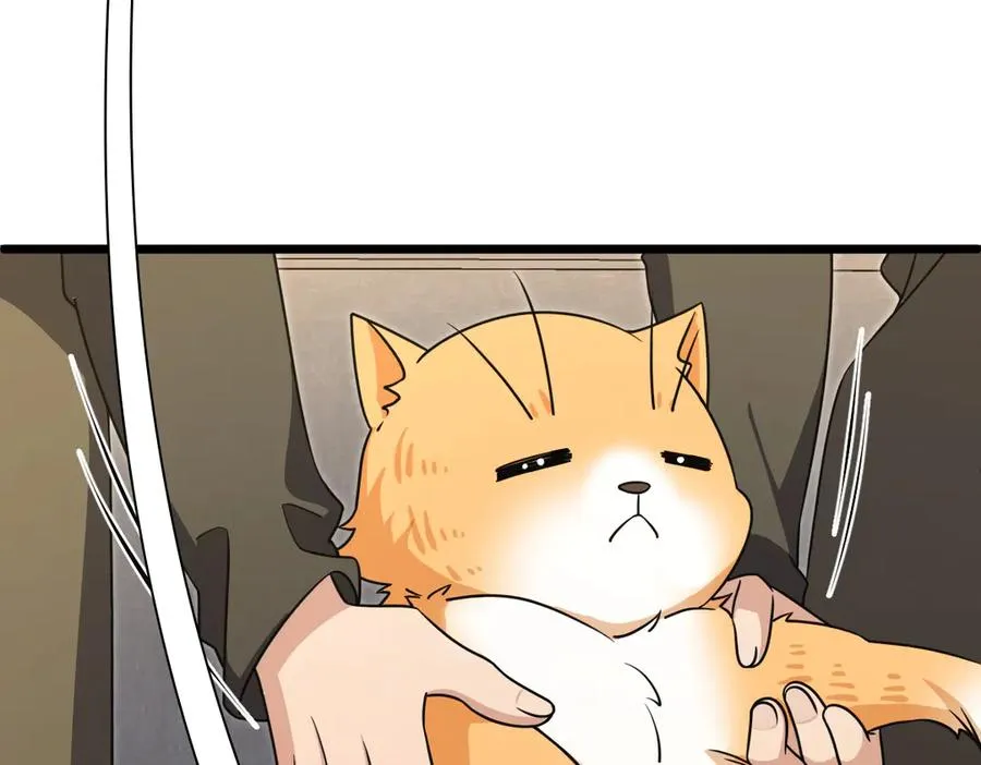 262 第144页