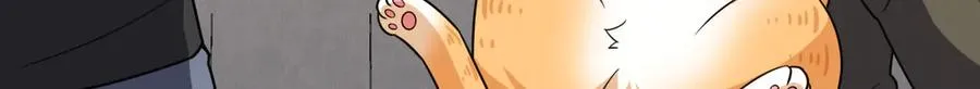 262 第154页