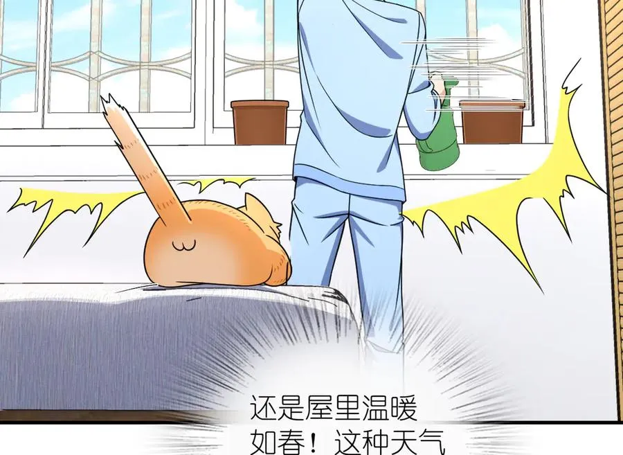 264 第58页