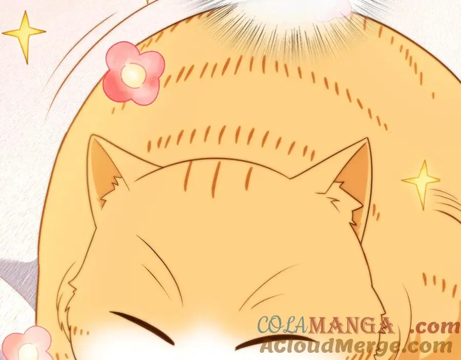 264 第61页