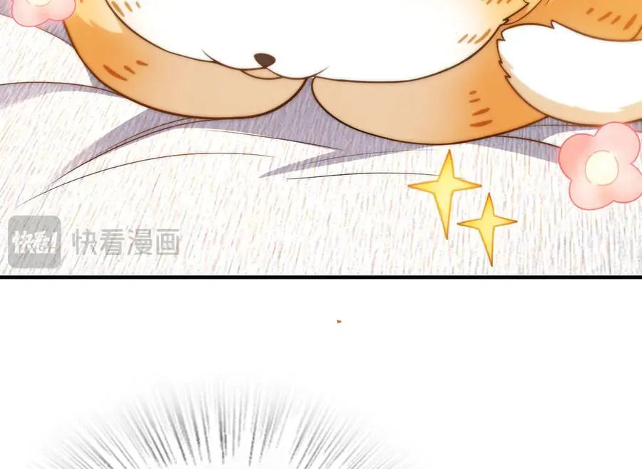 264 第62页