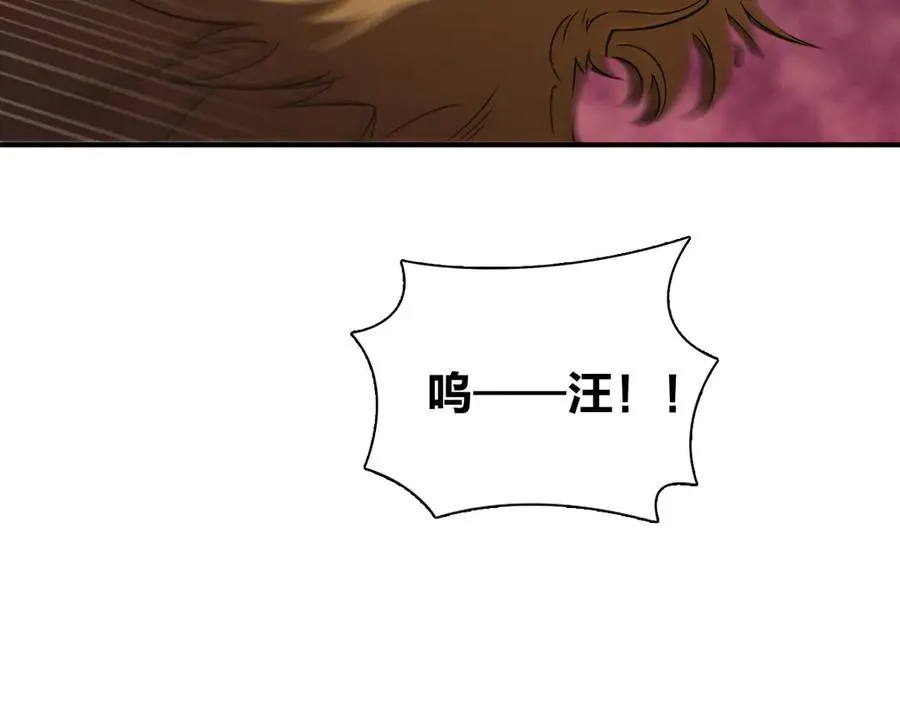 266 第28页