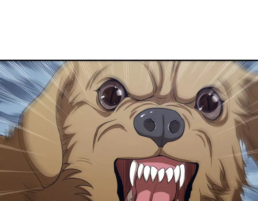 266 第31页