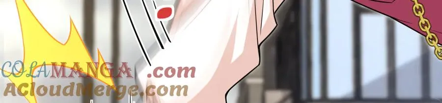 266 第41页