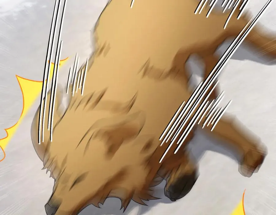 266 第51页
