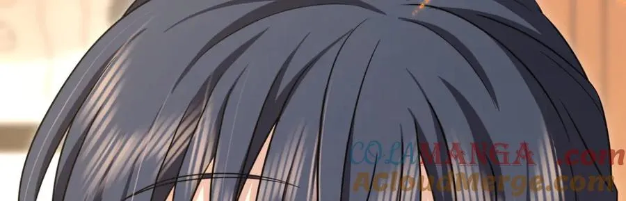 266 第113页