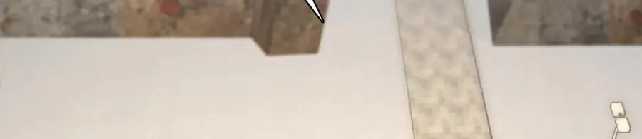 267 第119页