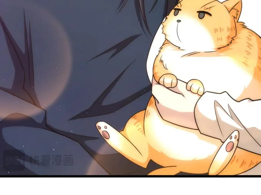 273 第87页