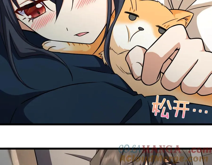 273 第113页