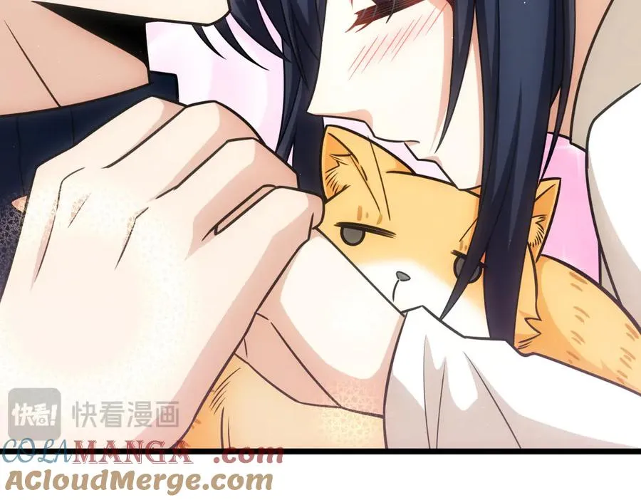 273 第117页