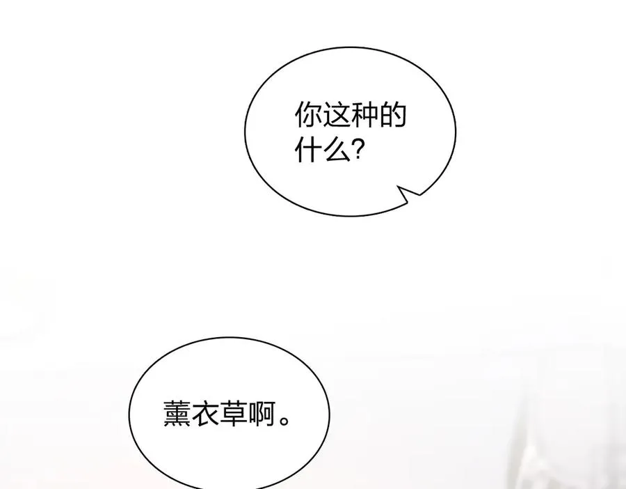 274 第63页
