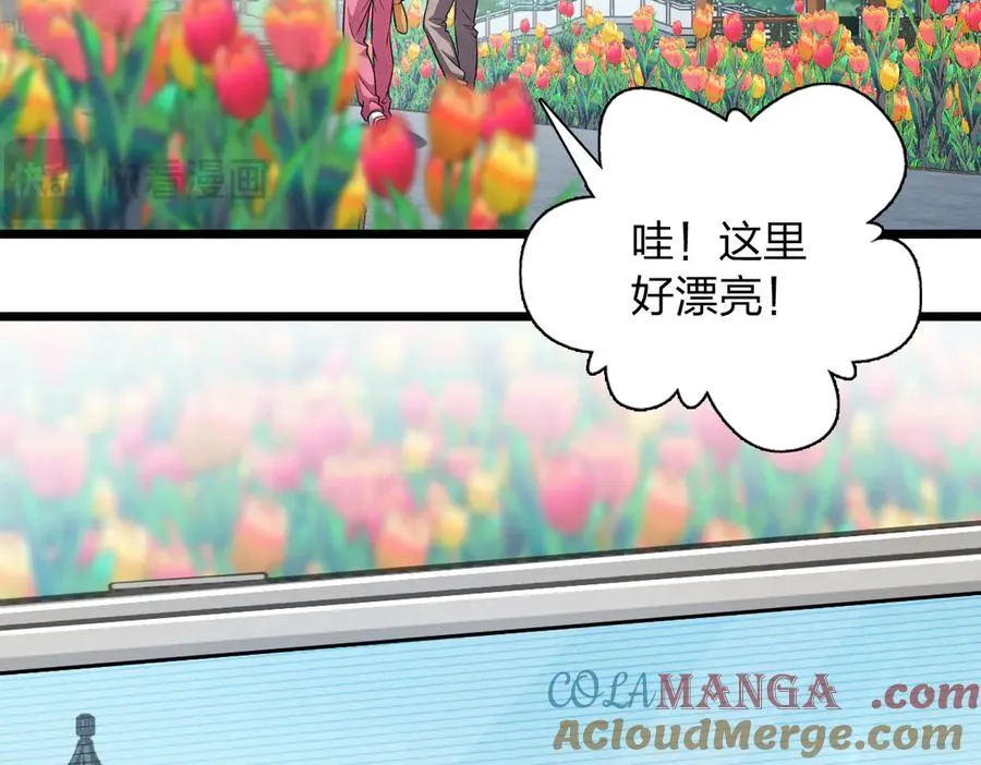 277 第85页