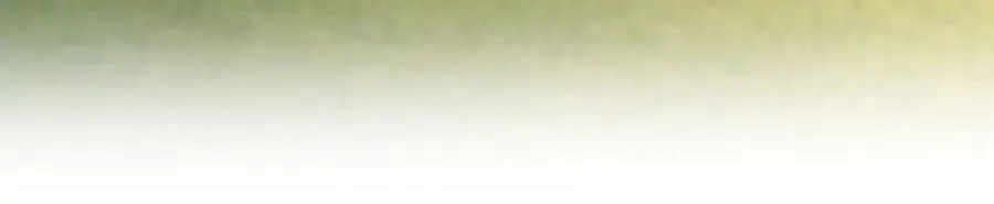 280 第55页