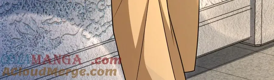 282 第61页