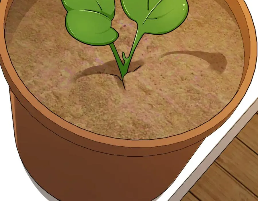 283 第126页